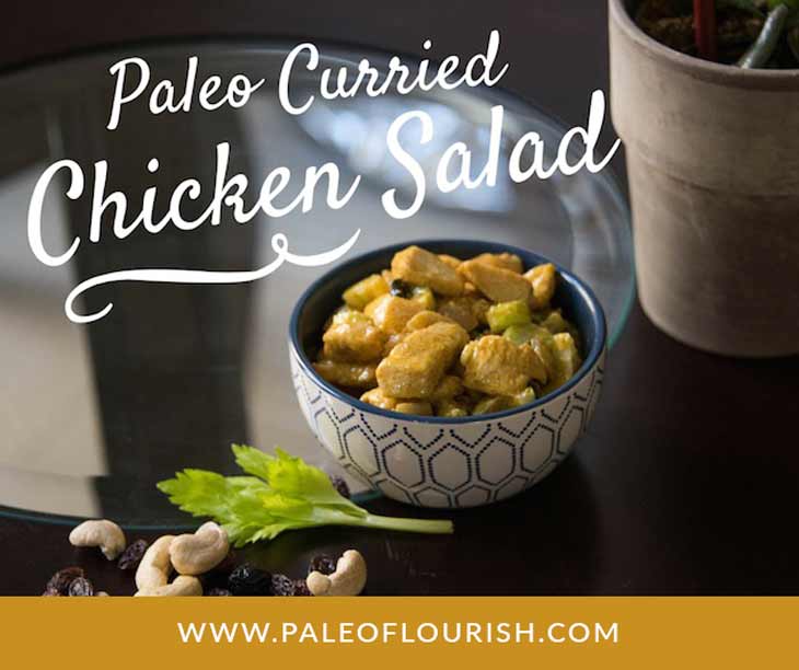 Paleo Curried Chicken Salad Recipe https://paleoflourish.com/paleo-curried-chicken-salad-recipe