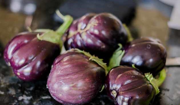 eggplant aubergine photo image