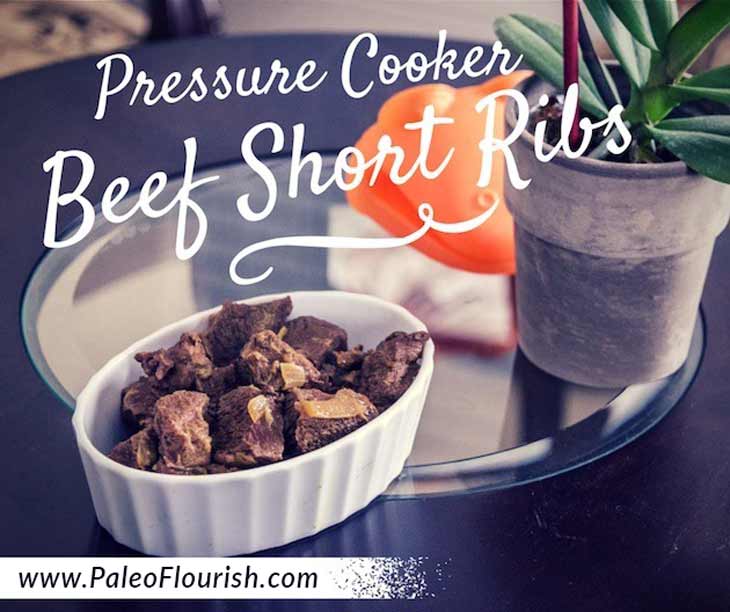 Paleo Pressure Cooker Beef Short Ribs Recipe https://paleoflourish.com/paleo-pressure-cooker-beef-short-ribs-recipe