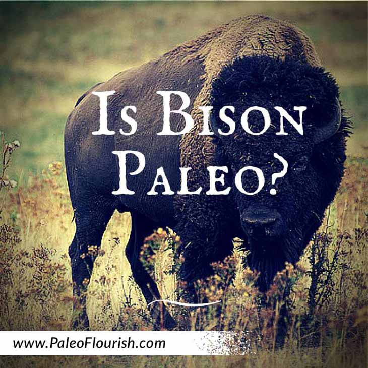 Is Bison Paleo? https://paleoflourish.com/is-bison-paleo