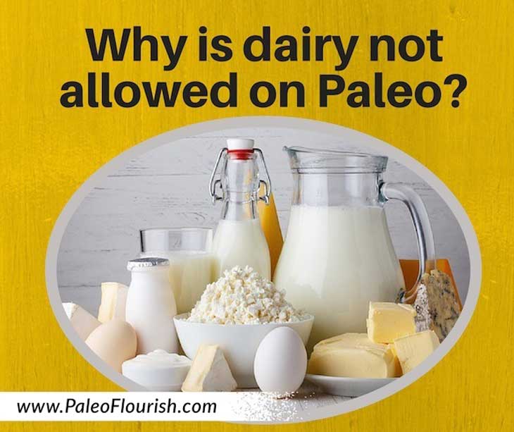 Why is dairy not allowed on a Paleo diet? https://paleoflourish.com/why-is-dairy-not-allowed-on-a-Paleo-diet