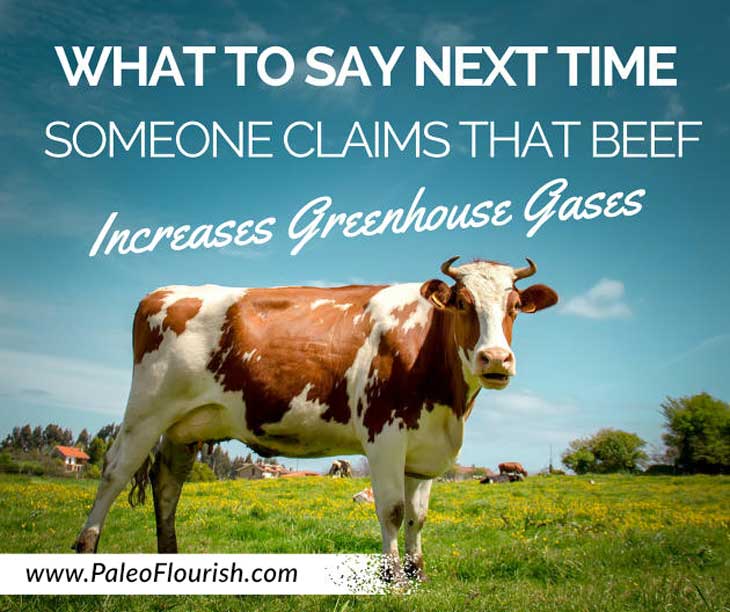 https://paleoflourish.com/say-next-time-someone-claims-beef-increases-greenhouse-gases/