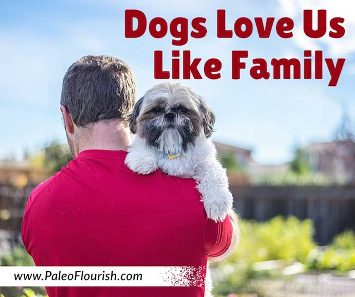 Dogs Love Us Like Family https://paleoflourish.com/dogs-love-us-like-family/