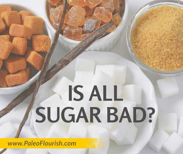 Is All Sugar Bad for Me? https://paleoflourish.com/is-sugar-bad/