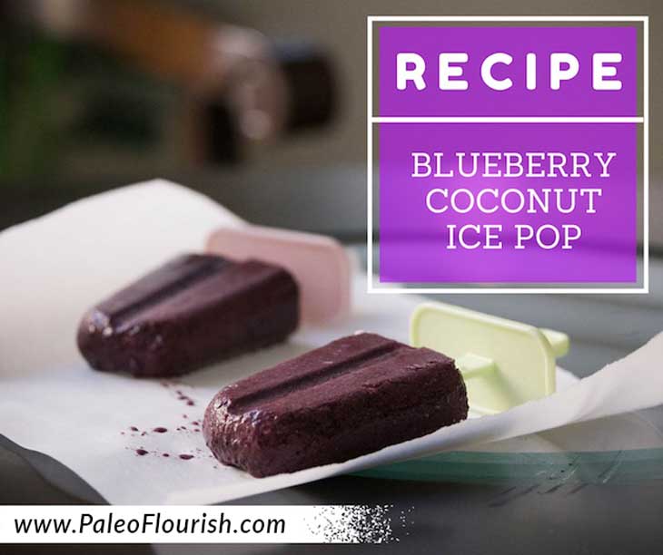 Paleo blueberry coconut ice pop recipe https://paleoflourish.com/blueberry-coconut-popsicles-recipe-paleo-dairy-free