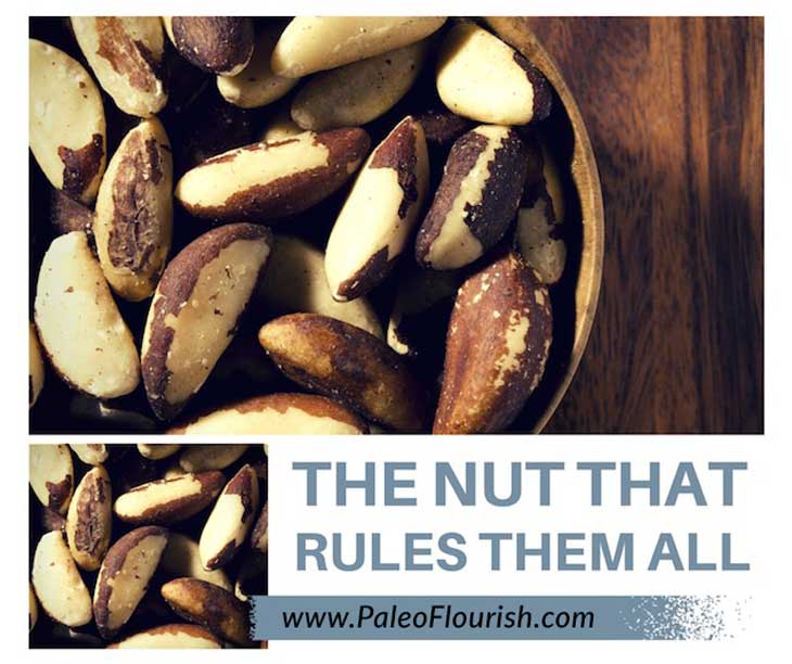 4 Reasons That One Nut May Rule Them All https://paleoflourish.com/best-nut-brazil-nut