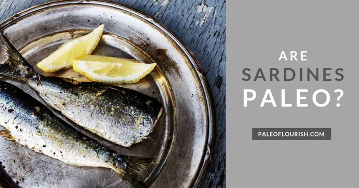Are Sardines Paleo? https://paleoflourish.com/are-sardines-paleo