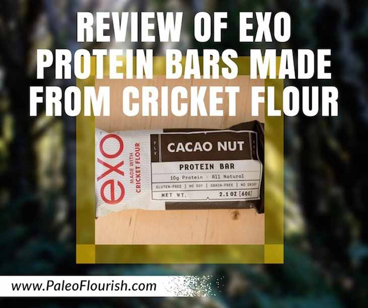 Review of eXo Cricket Protein Bars https://paleoflourish.com/review-exo-cricket-protein-bars