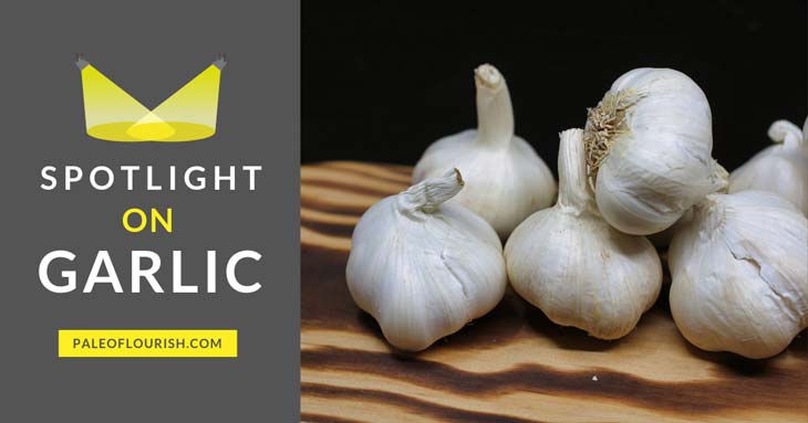 Spotlight on Garlic - Is Garlic Paleo? https://paleoflourish.com/is-garlic-paleo