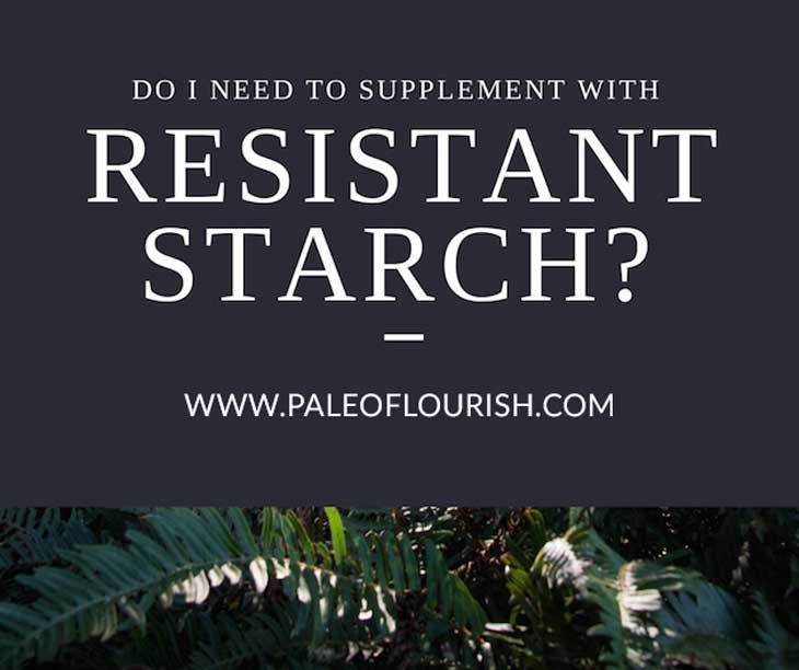 Do I Need to Supplement with Resistant Starch? https://paleoflourish.com/do-i-need-to-supplement-resistant-starch/