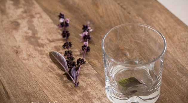 purple basil leave in glass