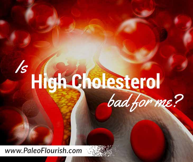 Is High Cholesterol Bad for Me? https://paleoflourish.com/is-high-cholesterol-bad-for-me