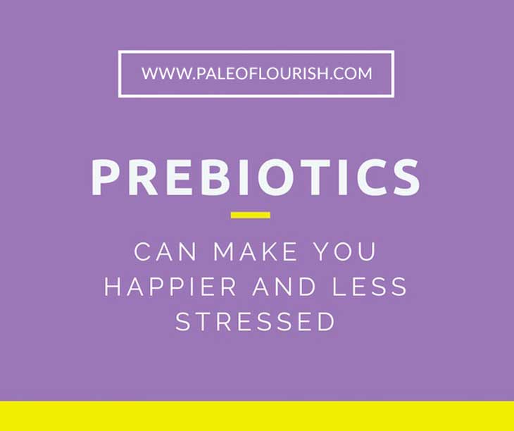 Prebiotics Can Make You Happier and Less Stressed https://paleoflourish.com/prebiotics-can-make-you-happier-less-stressed