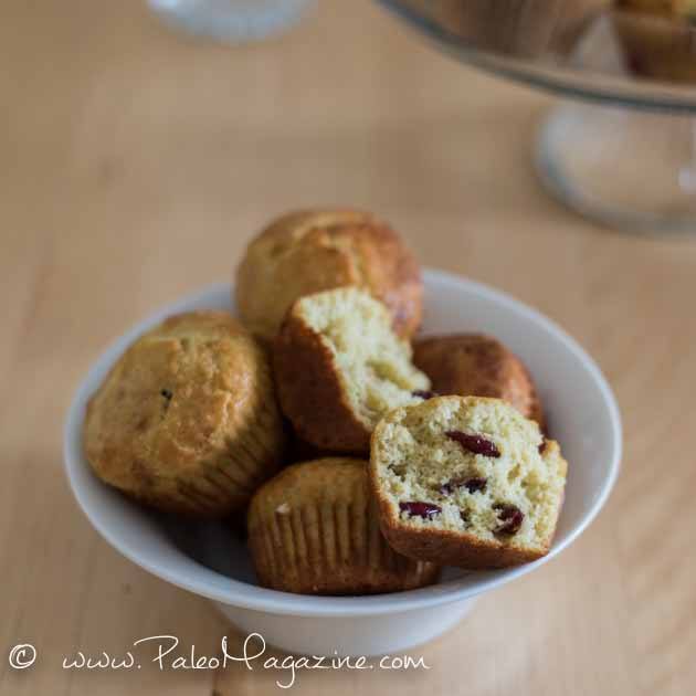Paleo Cranberry Orange Muffins Recipe #paleo #recipes #gluten-free https://www.paleoflourish.com/paleo-cranberry-orange-muffins-recipe-gf