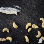 How to Make Cashew Cheese [Paleo, Vegan, Dairy-Free]