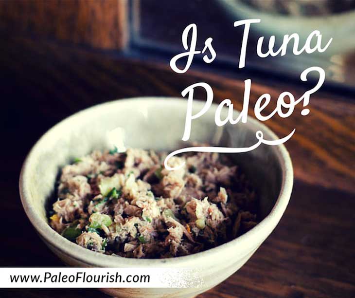 Is Tuna Paleo? https://paleoflourish.com/is-tuna-paleo
