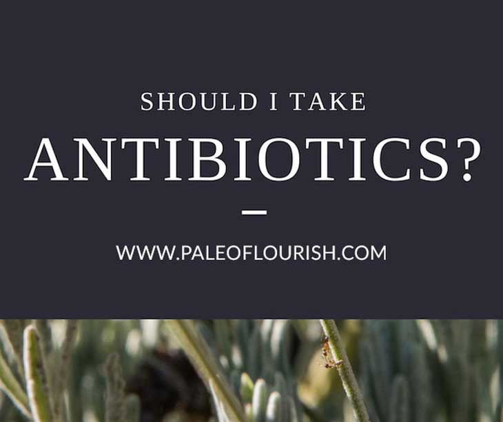 Should I Take Antibiotics? https://paleoflourish.com/should-i-take-antibiotics/