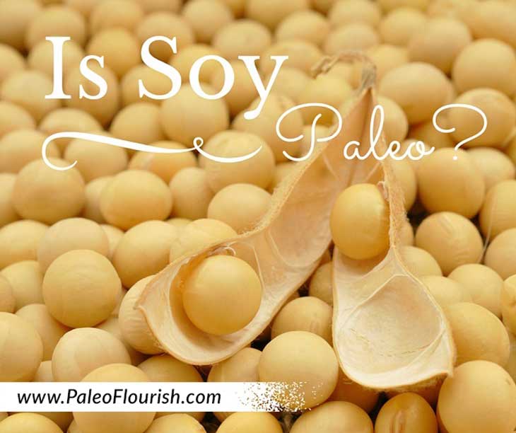 Is Soy Paleo? https://paleoflourish.com/is-soy-paleo