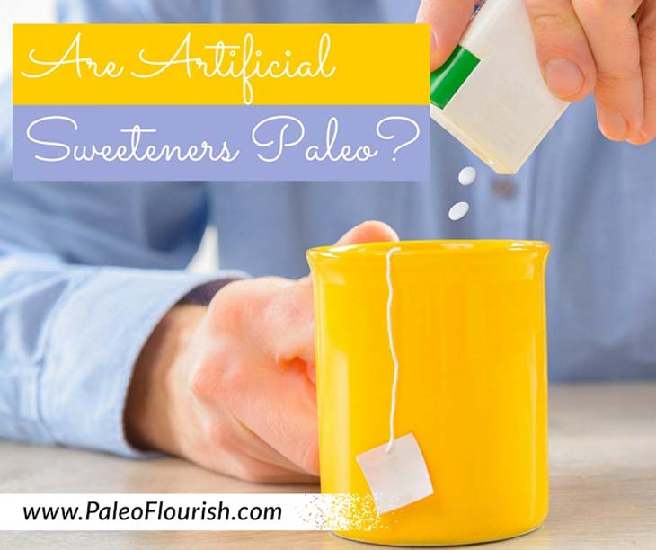 Are Artificial Sweeteners Paleo? https://paleoflourish.com/are-artificial-sweeteners-paleo