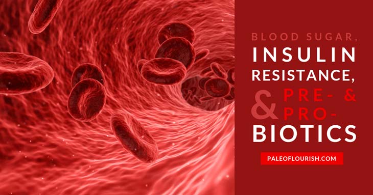 Blood Sugar, Insulin Resistance, & Pre- and Pro-Biotics https://paleoflourish.com/blood-sugar-insulin-resistance-probiotics
