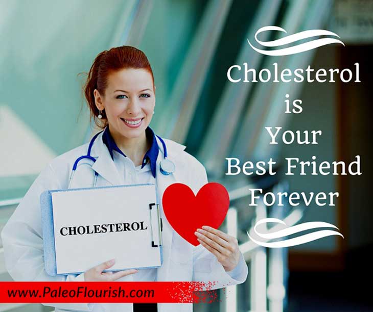 Cholesterol is Your Best Friend Forever https://paleoflourish.com/cholesterol-best-friend-forever