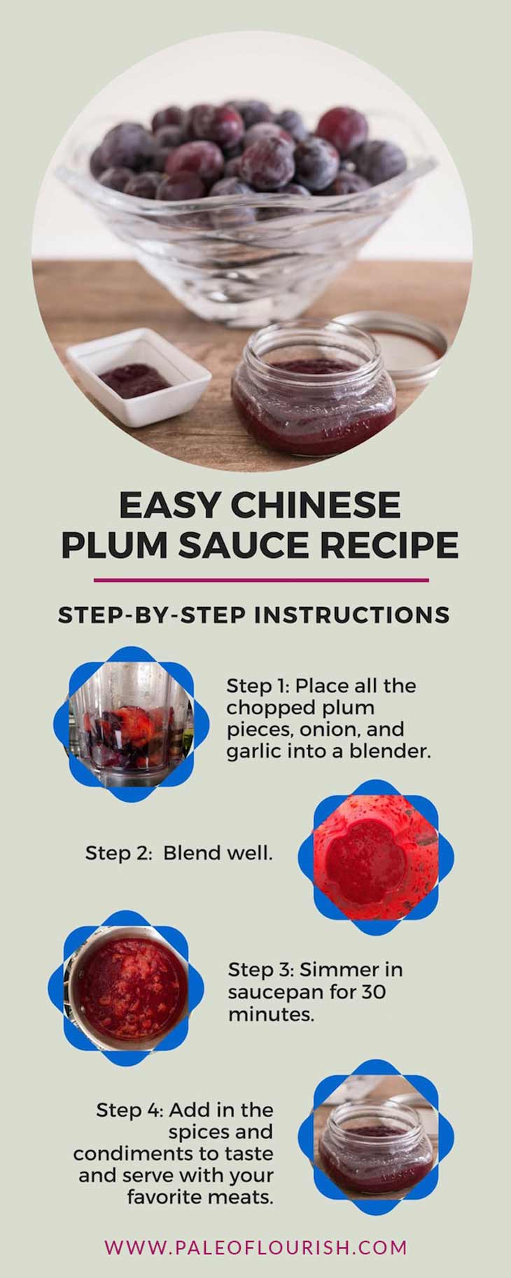 Easy Chinese Plum Sauce Recipe Infographic