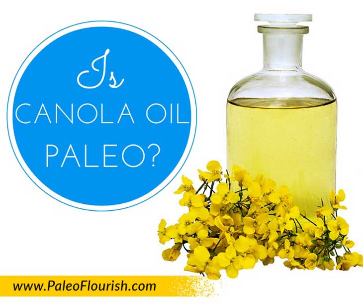 Is Canola Oil Paleo? https://paleoflourish.com/is-canola-oil-paleo