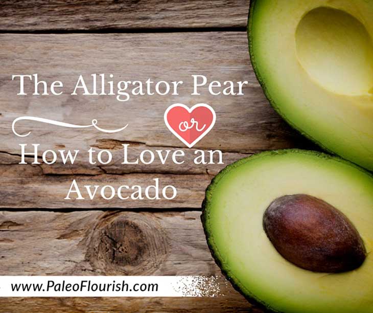 The Alligator Pear - or How to Love an Avocado https://paleoflourish.com/avocado-alligator-pear-paleo