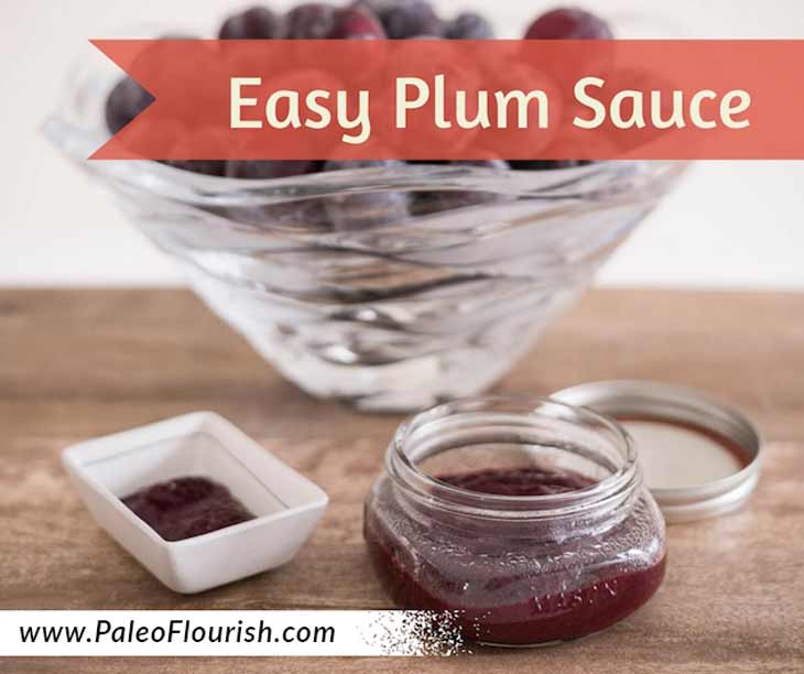 Easy Chinese Plum Sauce Recipe https://paleoflourish.com/easy-paleo-chinese-plum-sauce-recipe