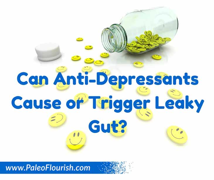 Can Anti-Depressants Cause or Trigger Leaky Gut? https://paleoflourish.com/anti-depressants-leaky-gut