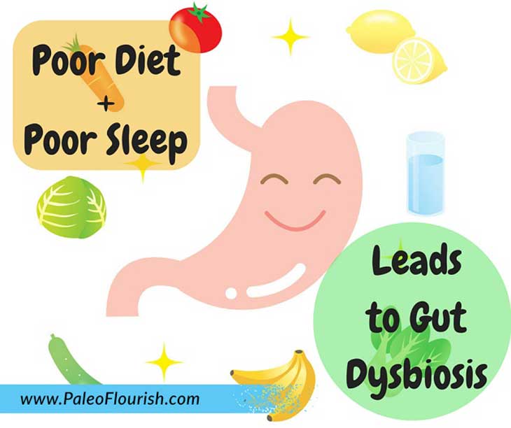 Poor Diet Plus Poor Sleep Leads to Gut Dysbiosis https://paleoflourish.com/poor-diet-poor-sleep-gut-bacteria
