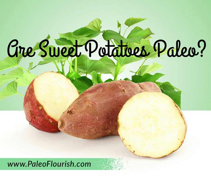 Are Sweet Potatoes Paleo? https://paleoflourish.com/are-sweet-potatoes-paleo