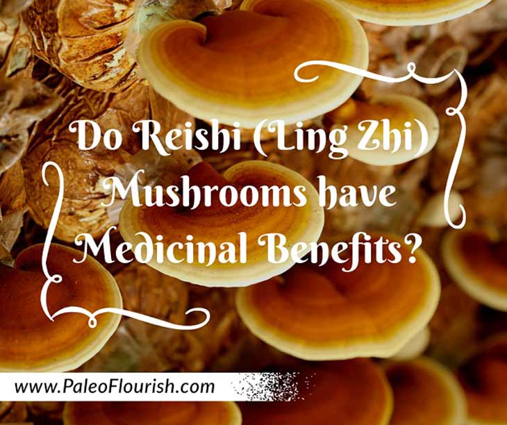 Do Reishi (Ling Zhi) Mushrooms have Medicinal Benefits? https://paleoflourish.com/medicinal-benefits-reshi-mushrooms-ling-zhi