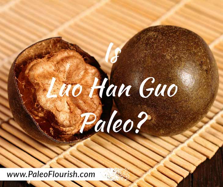 Is Luo Han Guo Paleo? https://paleoflourish.com/is-luo-han-guo-paleo