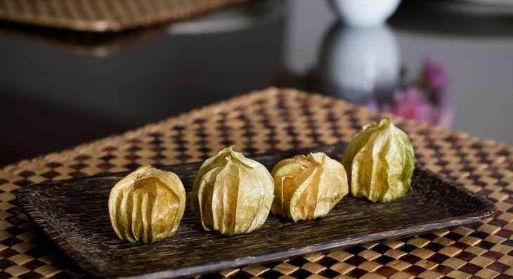 what are Physalis?