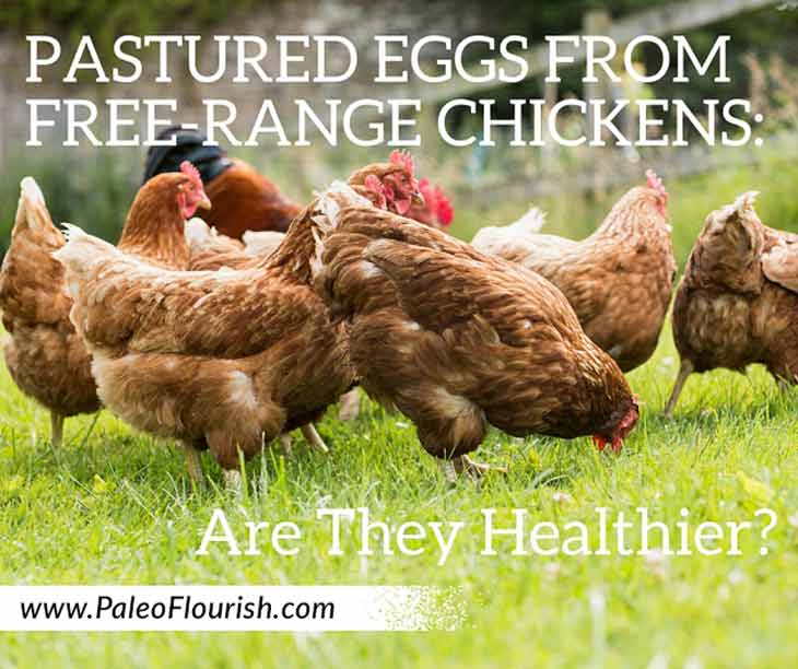 Pastured Eggs from Free-Range Chickens: Are They Healthier? https://paleoflourish.com/pastured-free-range-eggs-healthier