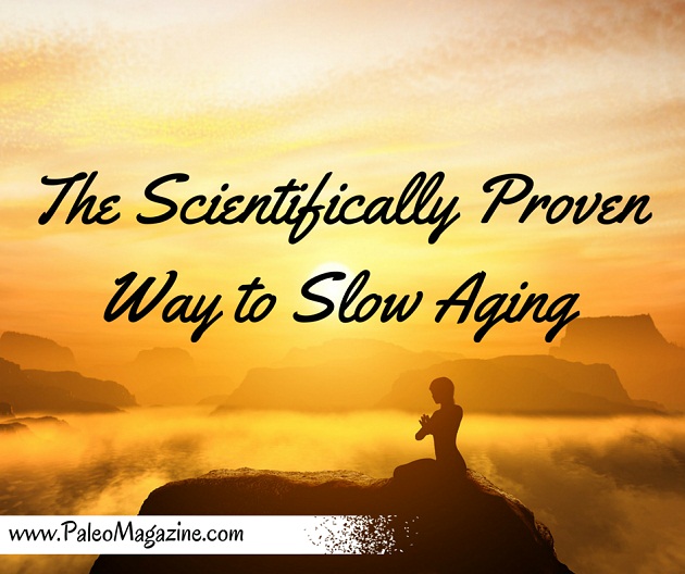 The Scientifically Proven Way to Slow Aging