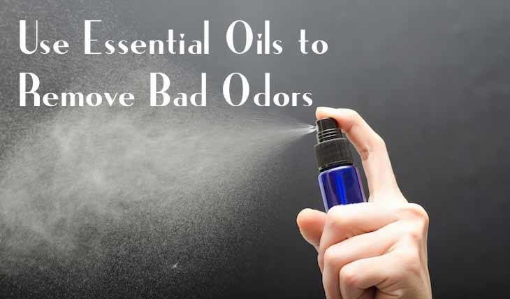 Uses of Essential Oils - Remove Bad Odors #essentialoils #eo #aromatherapy https://paleoflourish.com/beginner-guide-essential-oils