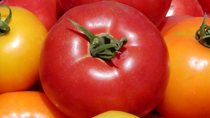 Juicy Tomatoes