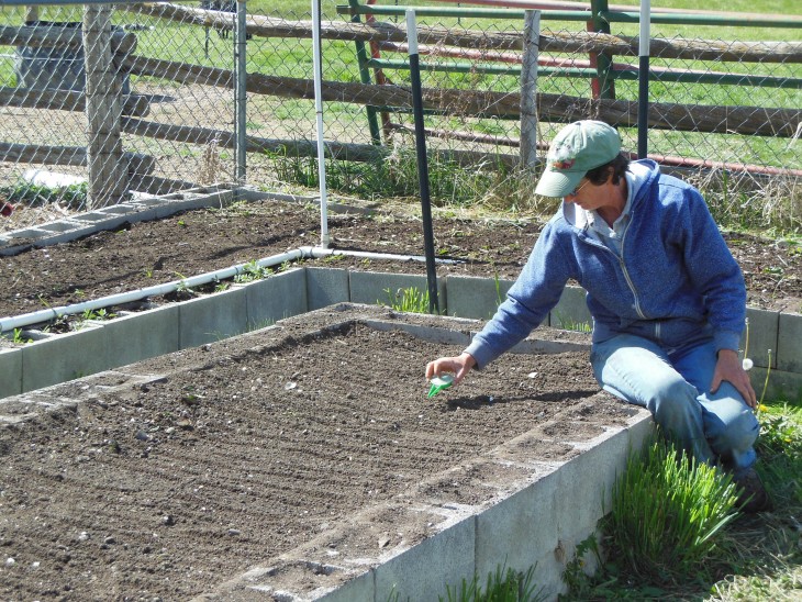 Lynn Planting in Superior Soil
