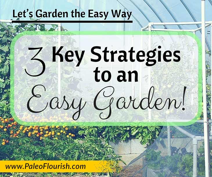 Let’s Garden the Easy Way - 3 Key Strategies to an Easy Garden! https://paleoflourish.com/3-key-strategies-to-an-easy-garden