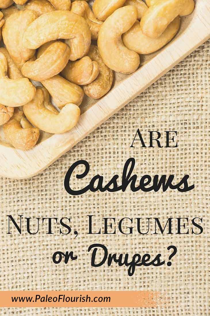 Are Cashews Nuts, Legumes, or Drupes https://paleoflourish.com/are-cashews-nuts-legumes-drupes