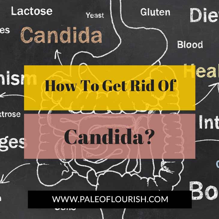 How to Cure Candida - How to get rid of candida? https://paleoflourish.com/how-to-get-rid-of-candida