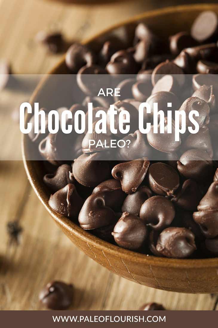 Are Chocolate Chips Paleo?