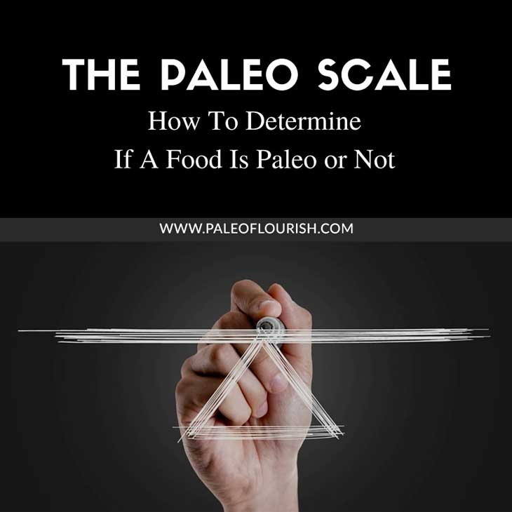How To Determine If A Food Is Paleo or Not https://paleoflourish.com/what-is-paleo-what-is-not