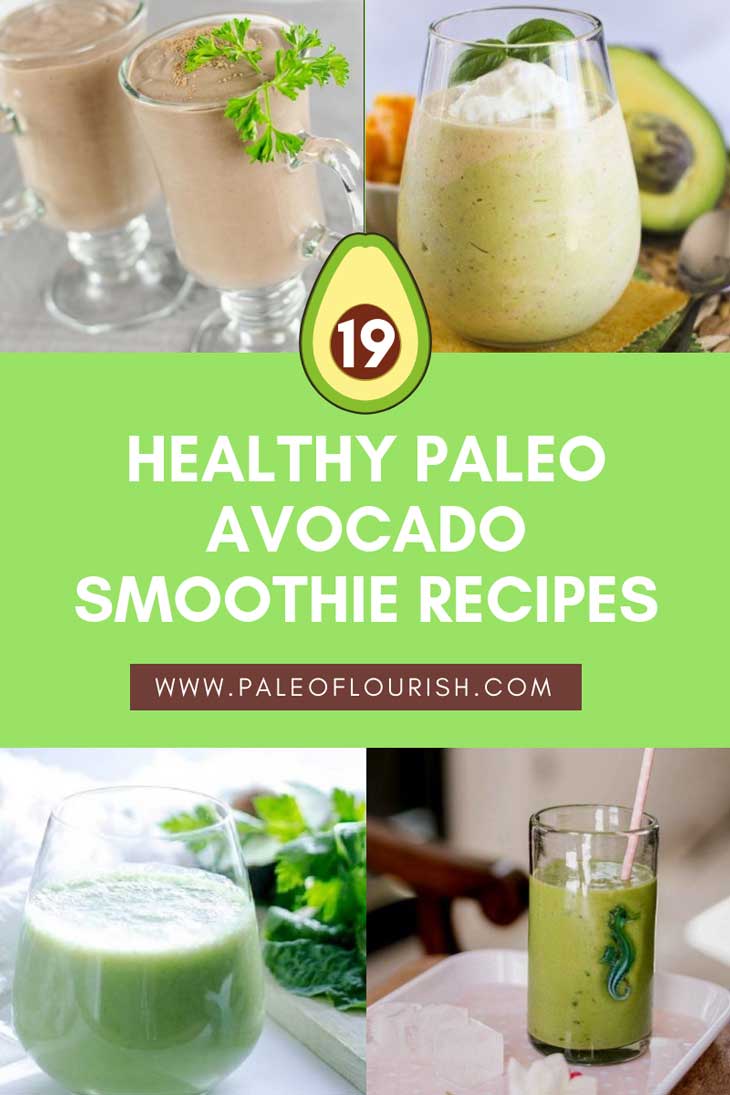 Paleo Avocado Smoothie Recipes - 19 Healthy Paleo Avocado Smoothie Recipes https://paleoflourish.com/paleo-avocado-smoothie-recipes