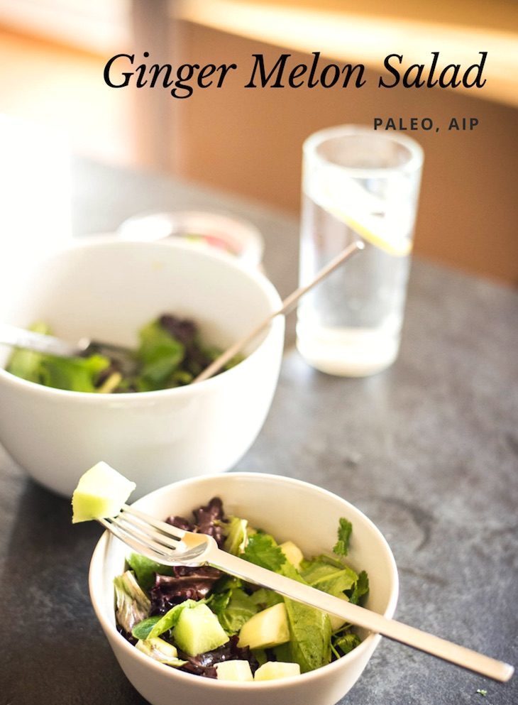 Ginger Melon Salad Recipe #paleo #aip #recipe https://paleoflourish.com/ginger-melon-salad-recipe