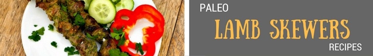 Paleo Lamb Recipes #paleo #lamb #recipes - https://paleoflourish.com/paleo-lamb-recipes/
