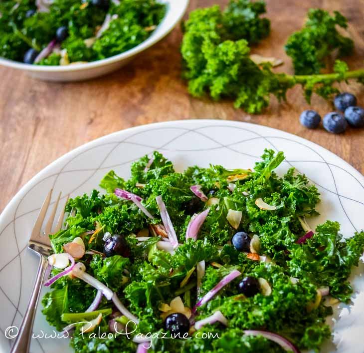 Kale and Blueberry Salad Recipe [Paleo, Keto, AIP] #paleo #keto #aip #recipes - https://paleoflourish.com/kale-blueberry-salad-recipe-paleo-keto-aip
