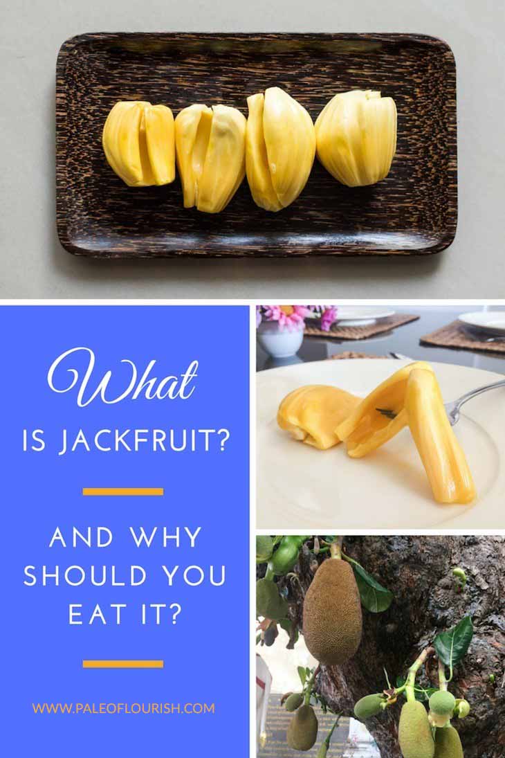 what is jackfruit #paleo #fruit https://paleoflourish.com/what-is-jackfruit-why-should-you-eat-it